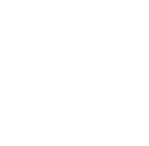 Texas state outline