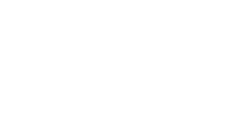 American flag icon representing Isagani Yorke Capital Partners as a veteran-owned and operated firm